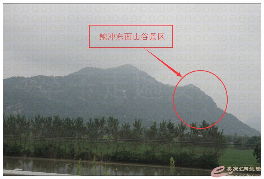 20150718 019.jpg