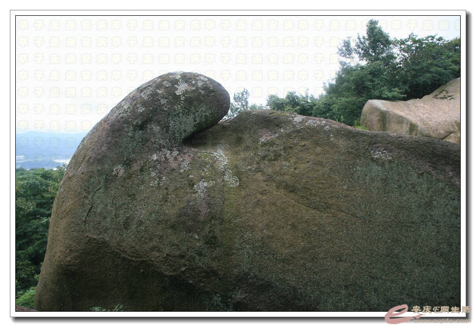 20150725 182.jpg