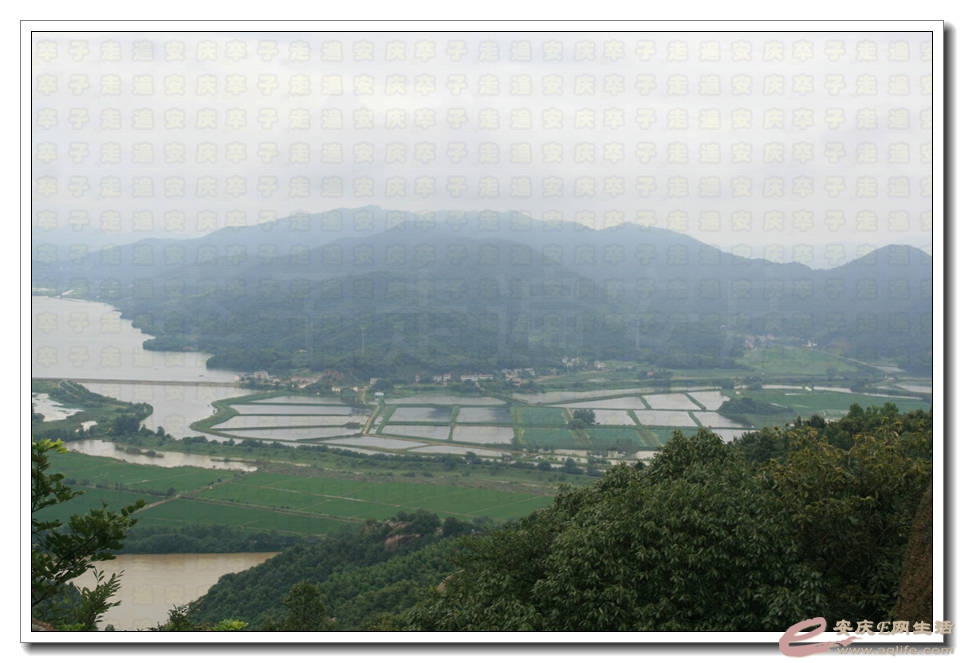 20150725 187.jpg