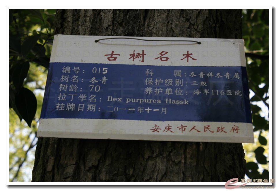 20150412 053.jpg