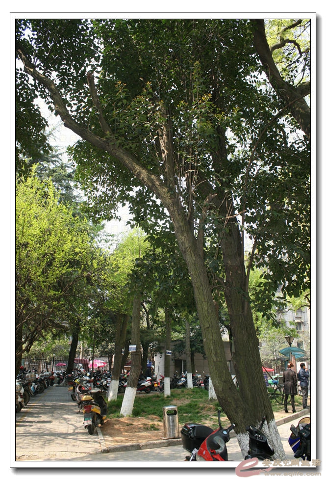 20150412 056.jpg