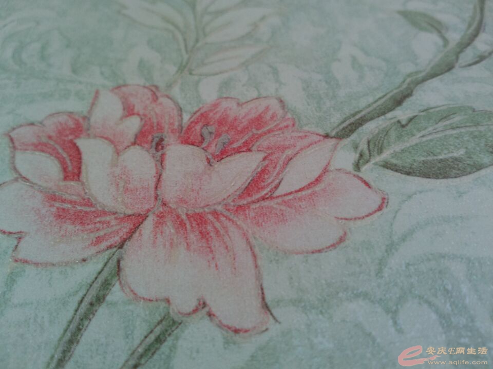 QQͼƬ20150730083847.jpg
