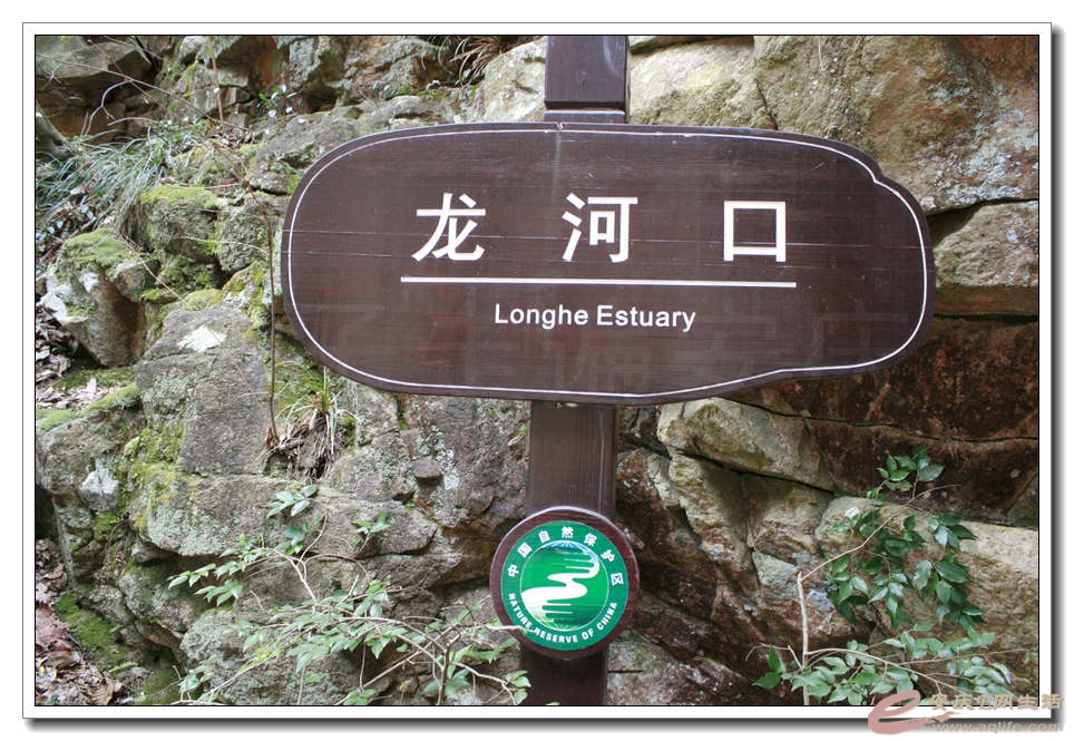 20150219 107.jpg