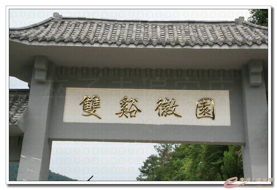 20150613 074.jpg