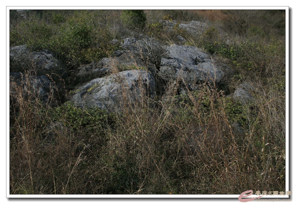 20141206 156.jpg