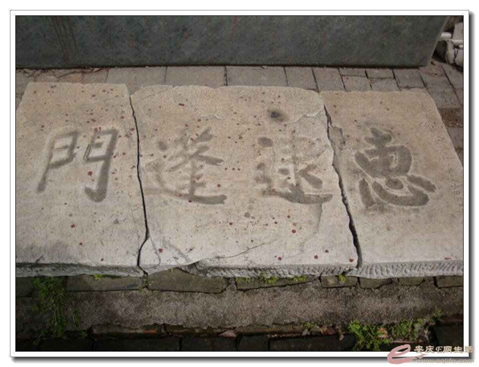 20100402 175.jpg