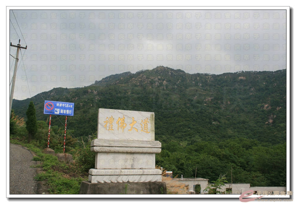 20150712 116.jpg