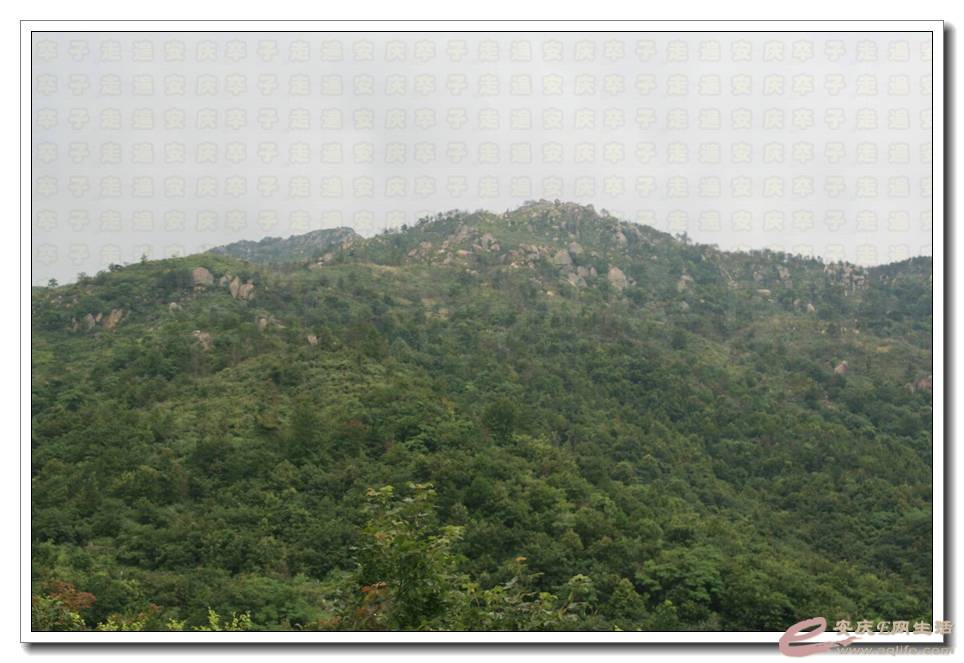 20150712 201.jpg