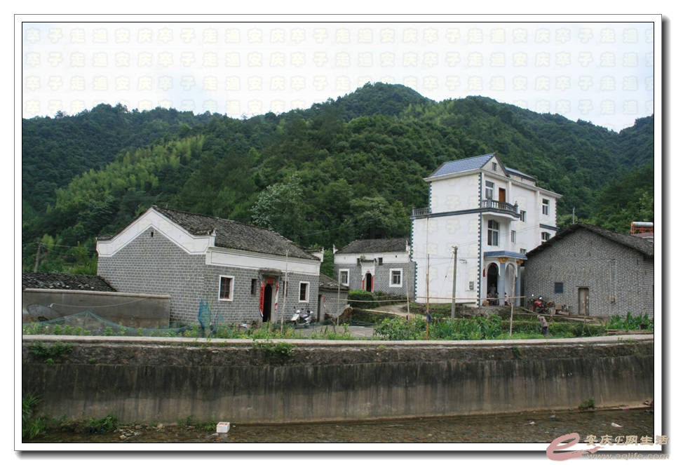 20150613 178.jpg