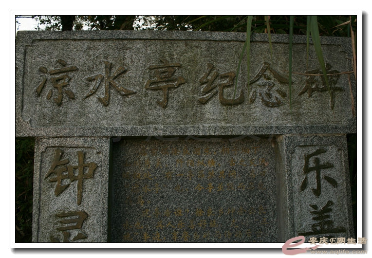 2014100106 1151.jpg