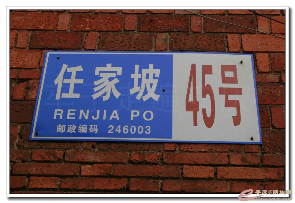psb6.jpg