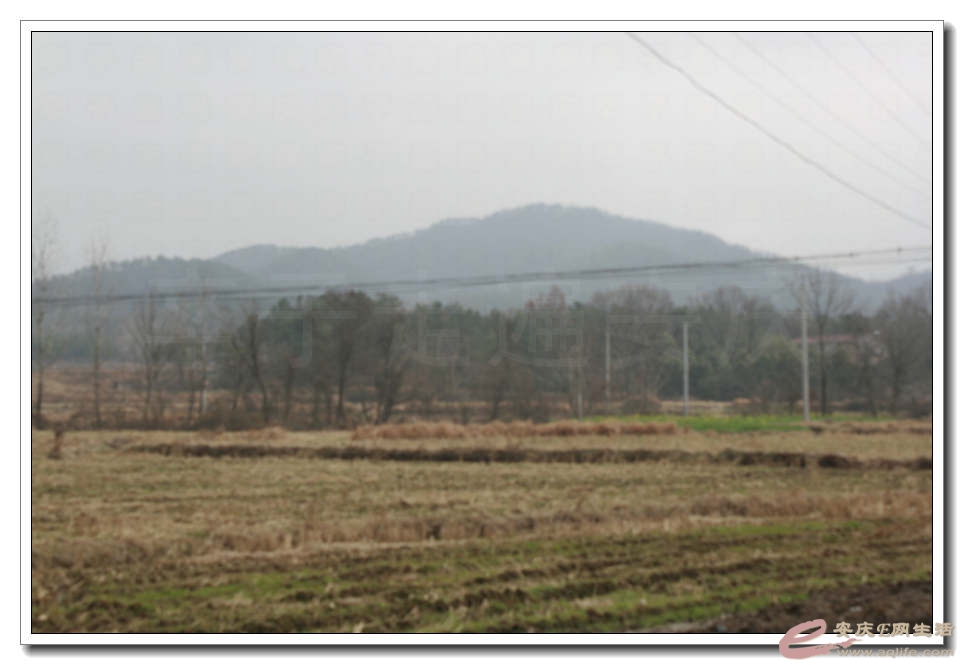 20150222 008.jpg