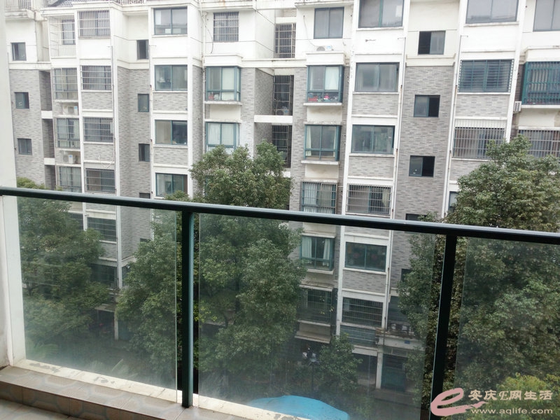 IMG_20151220_101534.jpg