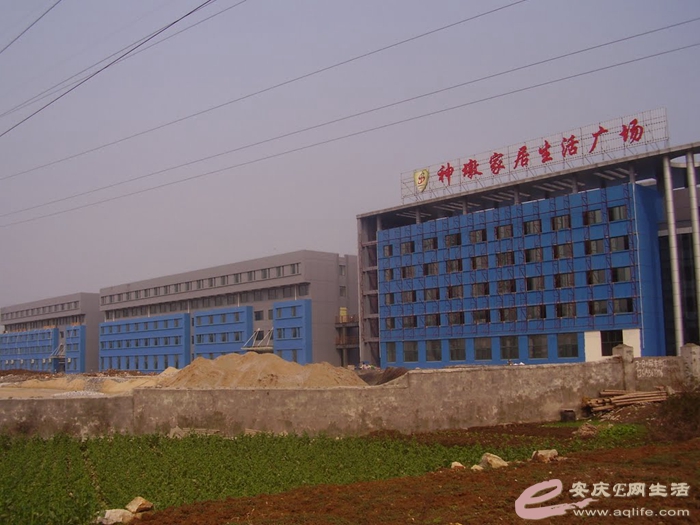 2010