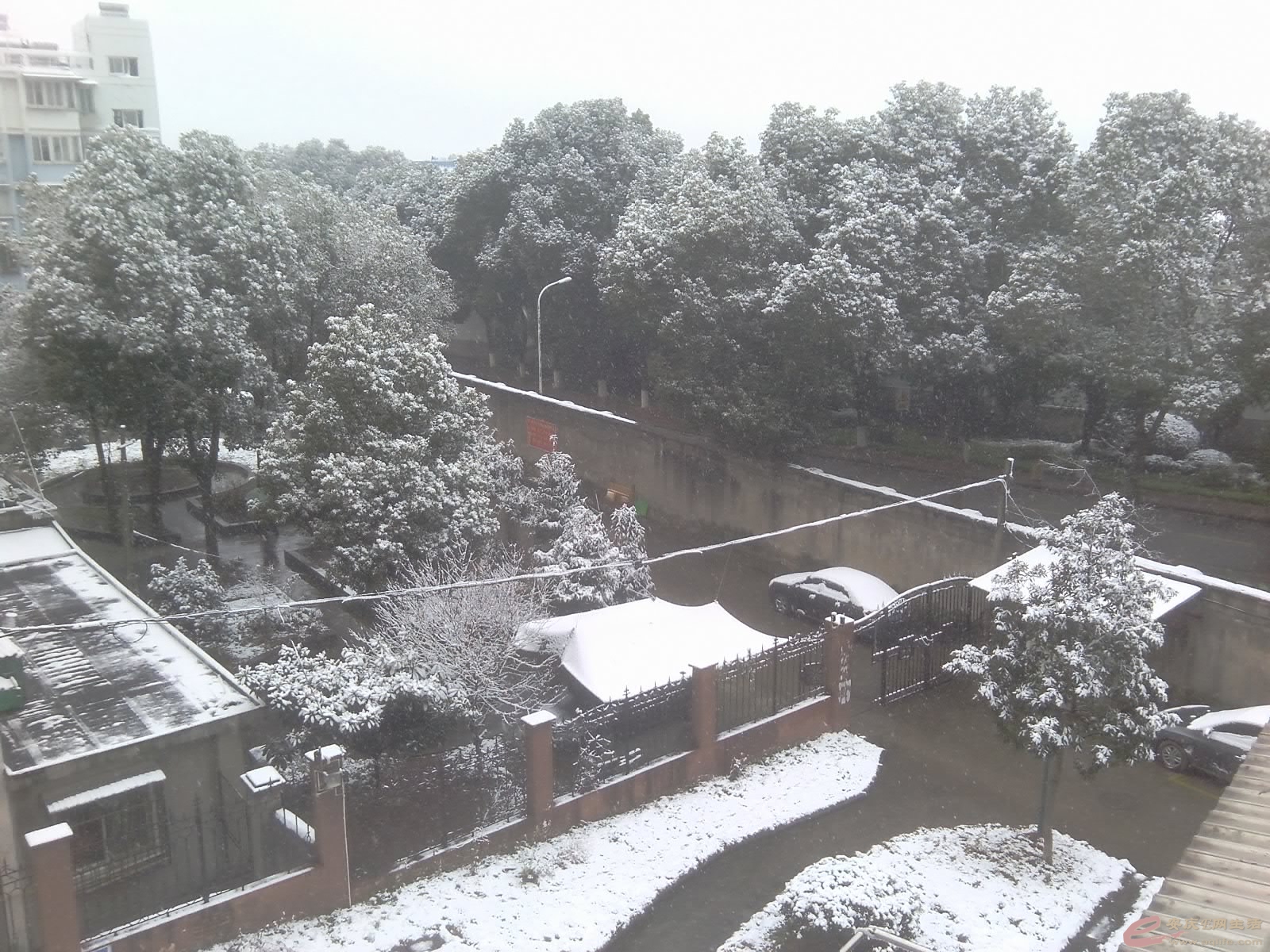YP20160121100122699.jpeg
