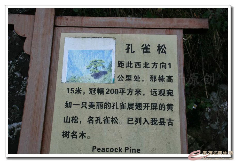 psb5.jpg