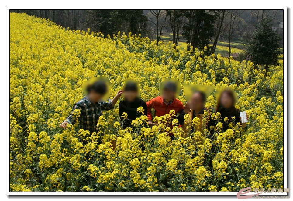 psb5.jpg