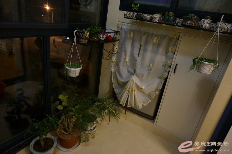 DSC03377.JPG