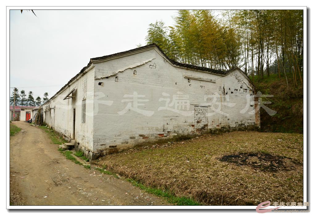 psbCA8DOZSE.jpg