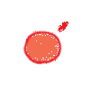 13247419_222742243158_2.gif