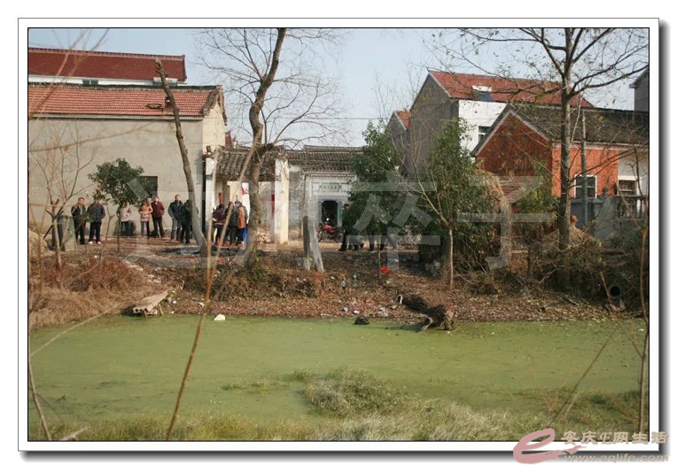 psb1-0.jpg