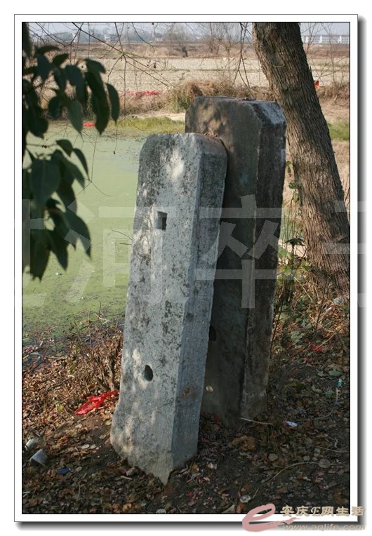 psb2-4.jpg