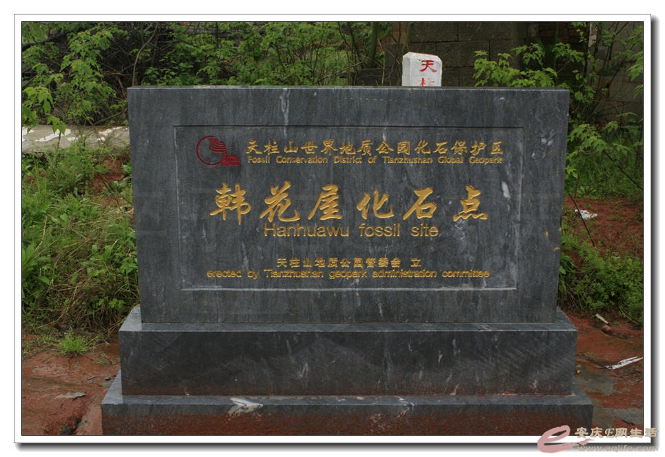 20150404 274.jpg