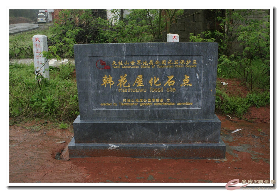 20150404 281.jpg