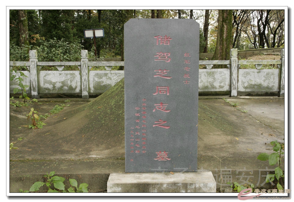 psb7-7.jpg