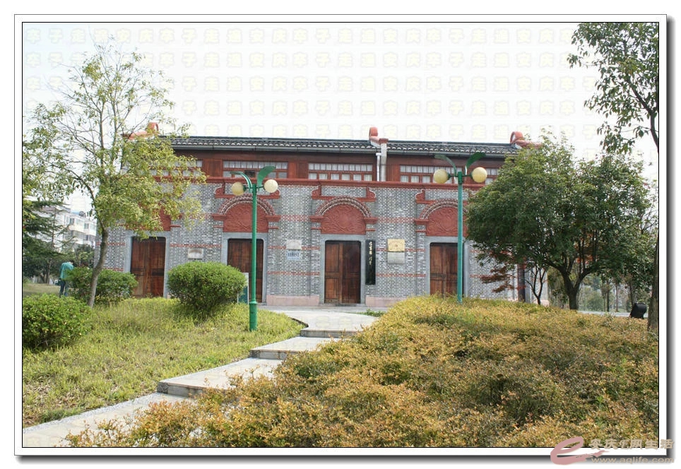 psb8.jpg