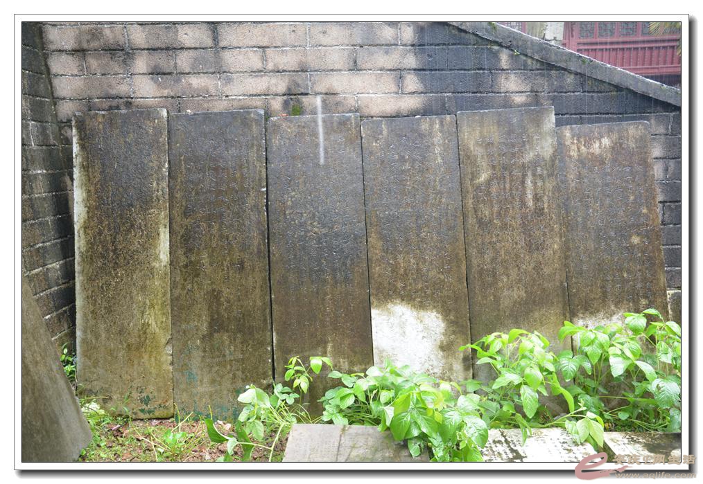 20160625 051.jpg
