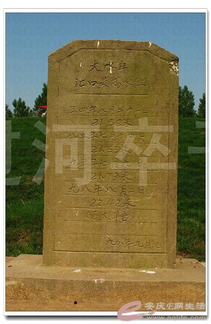 psb (4).jpg