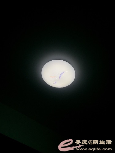 image.jpeg