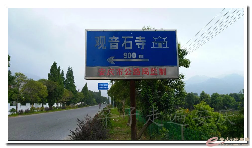psb1.webp.jpg