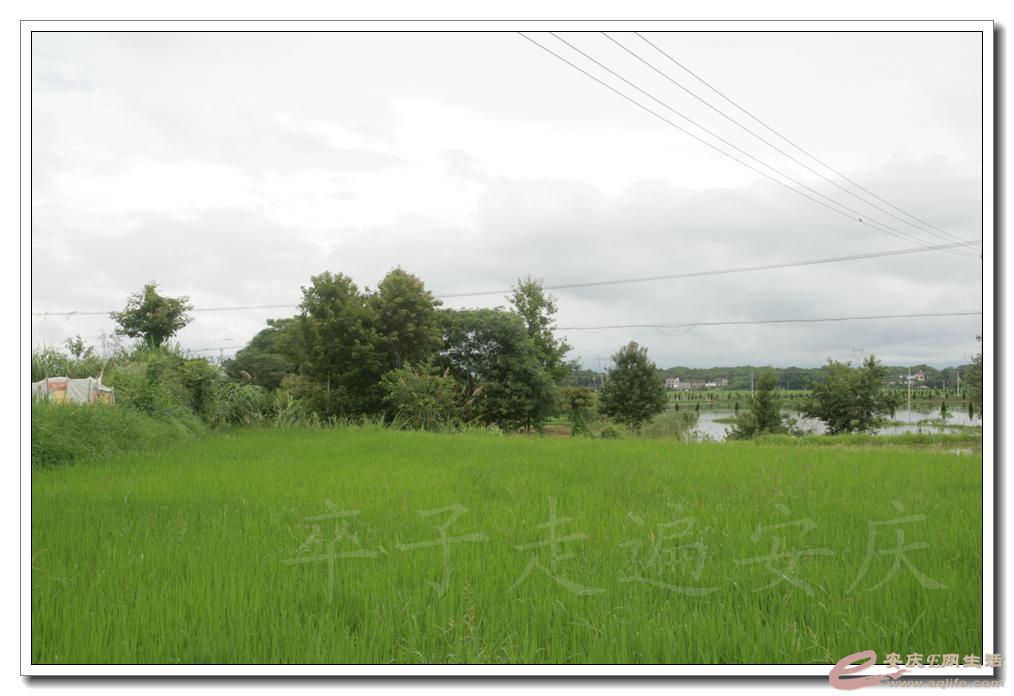 20160703 005.jpg