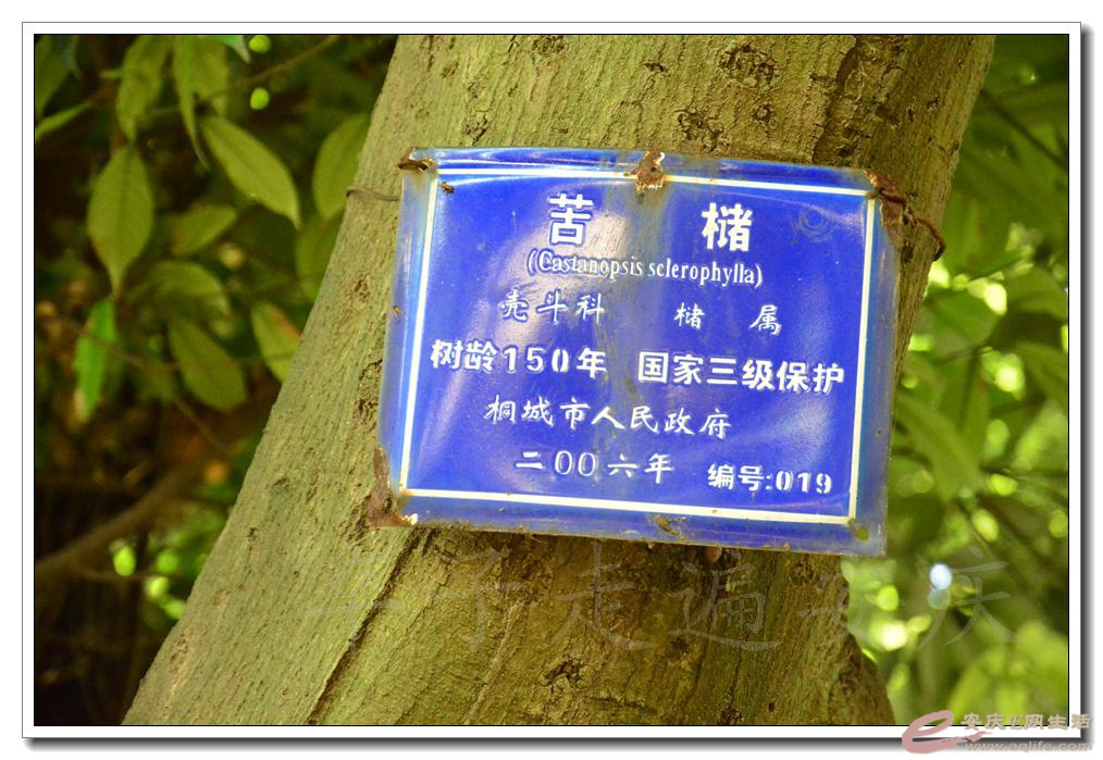 20160723 119.jpg