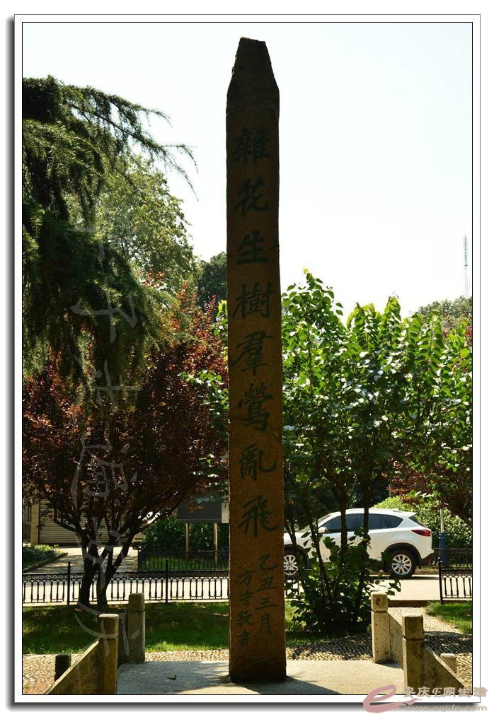 psb6.jpg