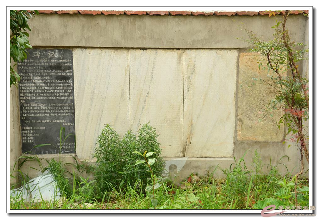 psb9.jpg