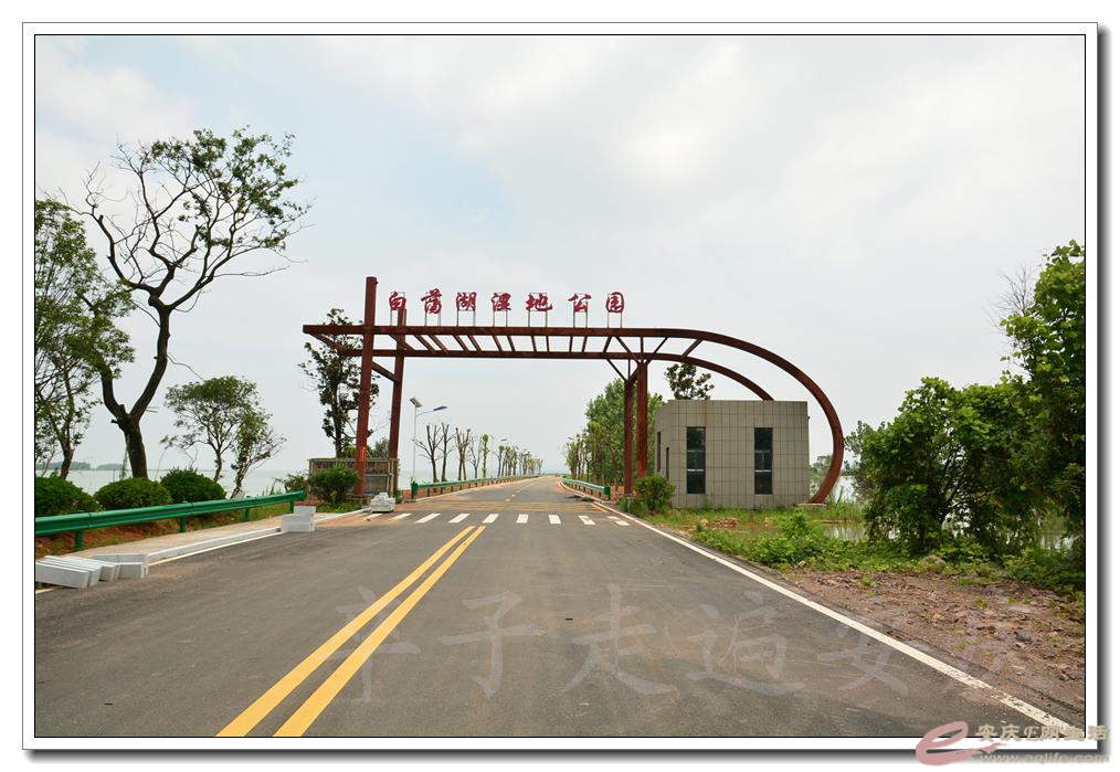 20160709 141.jpg