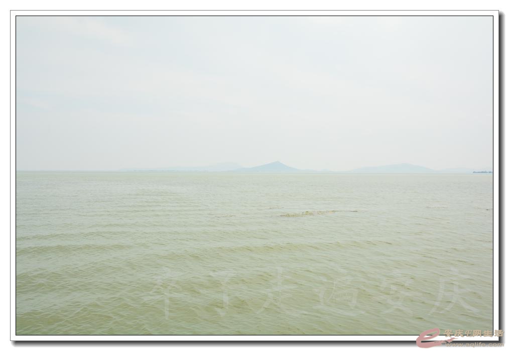 20160709 144.jpg