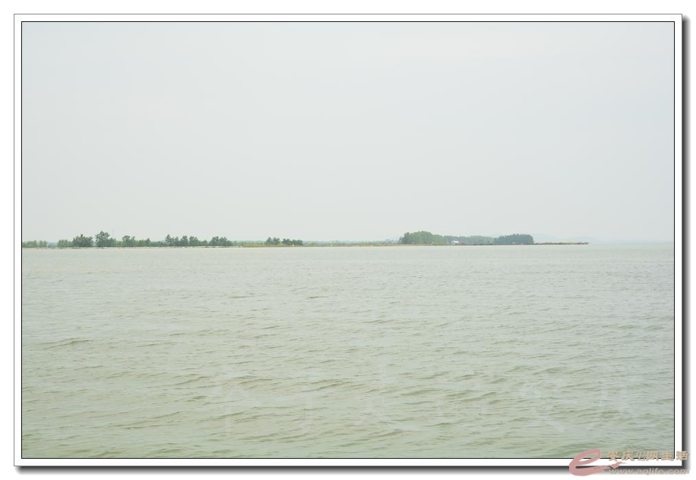 20160709 145.jpg