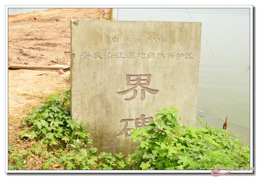 20160709 146.jpg