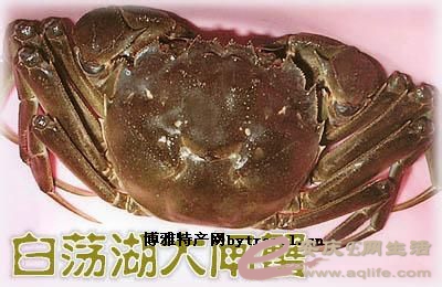 20160709 149.jpg