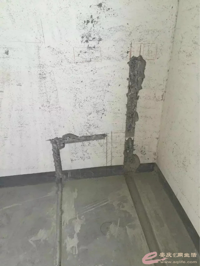ˮ翪