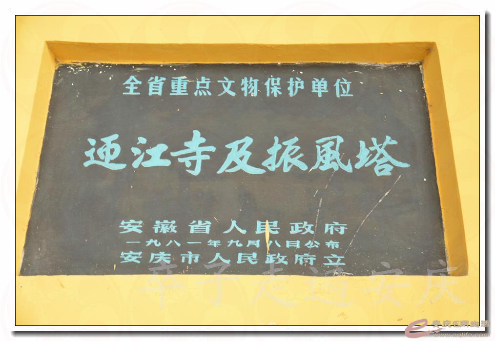 20160625 003.jpg
