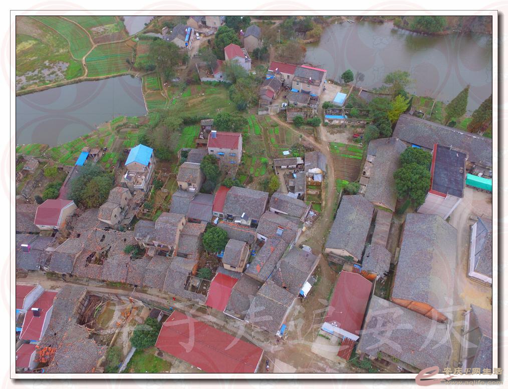 DJI_0172.jpg