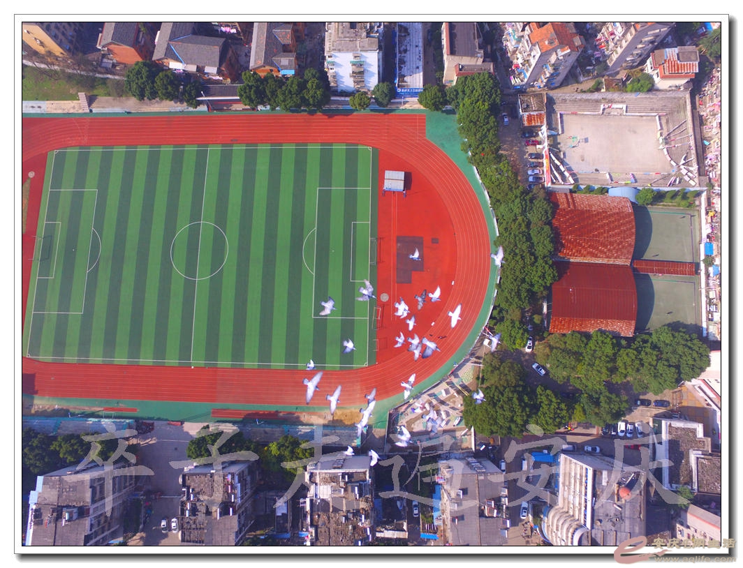 DJI_0160.jpg