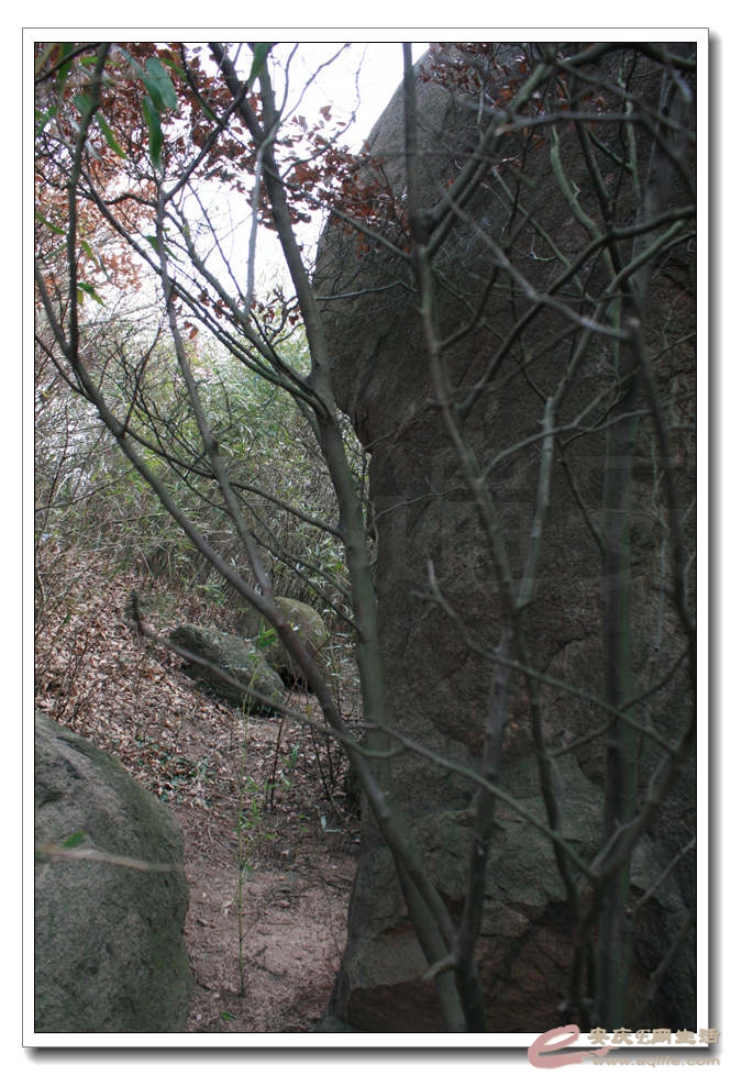 20150117 480.jpg
