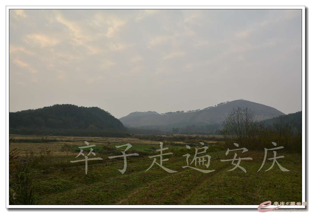 20161211 076.jpg