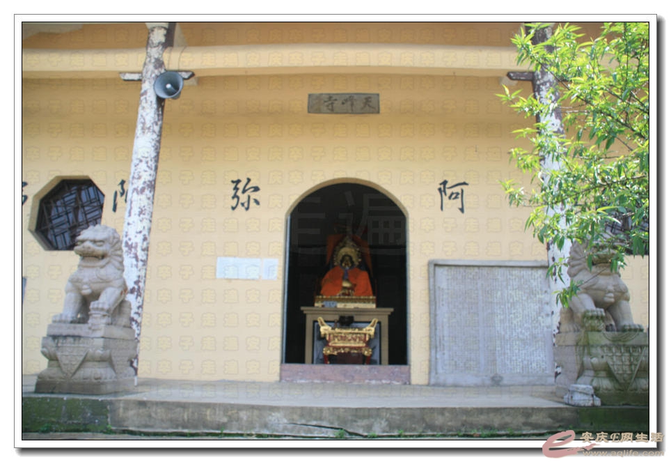 20150426 122.jpg